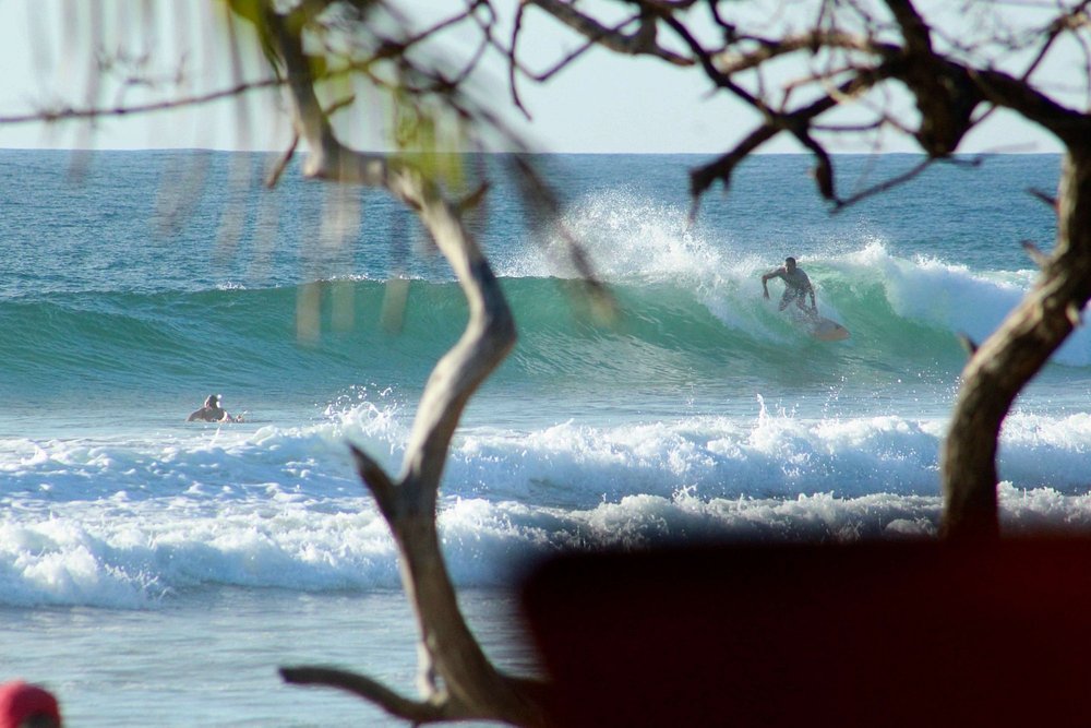 playa avellanas real estate showing surfers