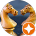bruce monson and a profile picture of chess pieces giving costa rica matt a testimonial