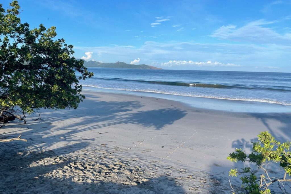 playa flamingo real estate ocean view with pink beach