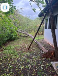 buying property in guanacaste costa rica with tree down from storm